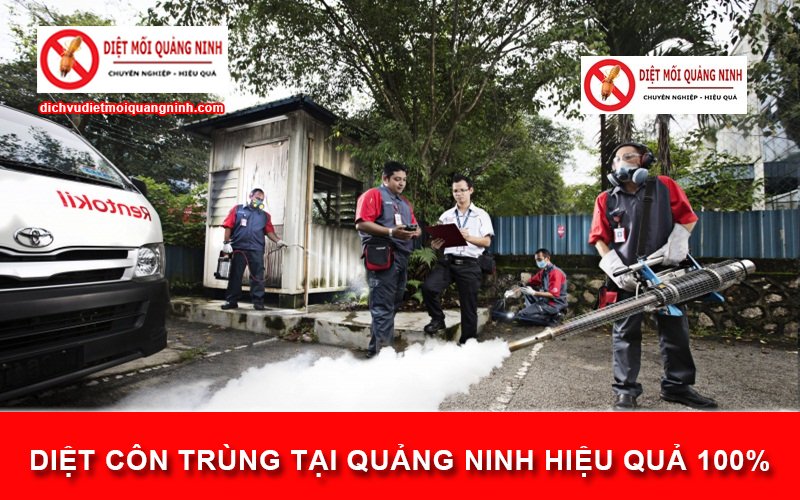 Diệt côn trùng tại Quảng Ninh