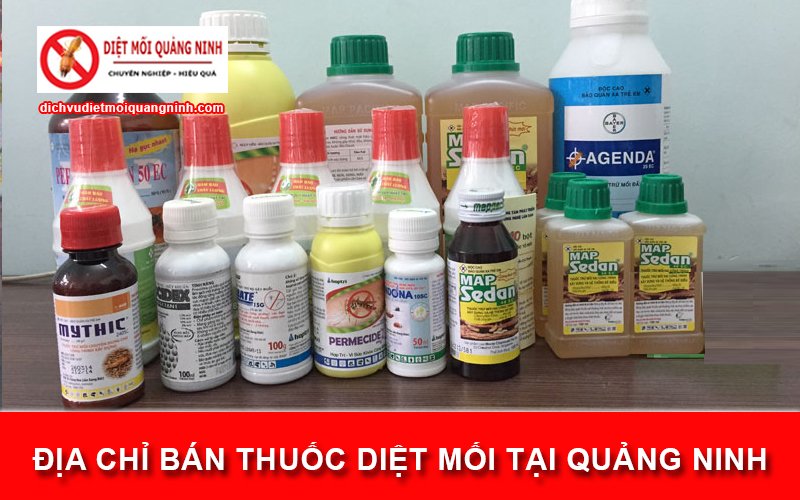 bán thuốc diệt mối tại Quảng Ninh