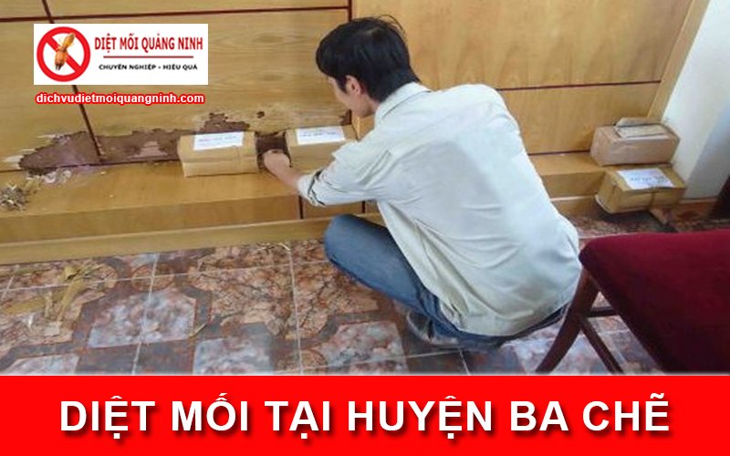 Diệt mối tại ​Huyện Ba Chẽ