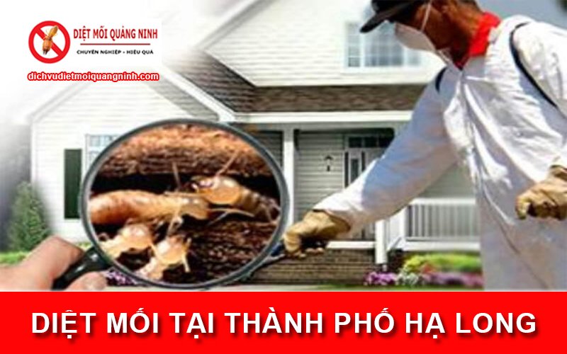 Diệt mối tại ​Thành phố Hạ Long