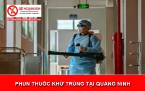 Phun thuốc khử trùng tại Quảng Ninh