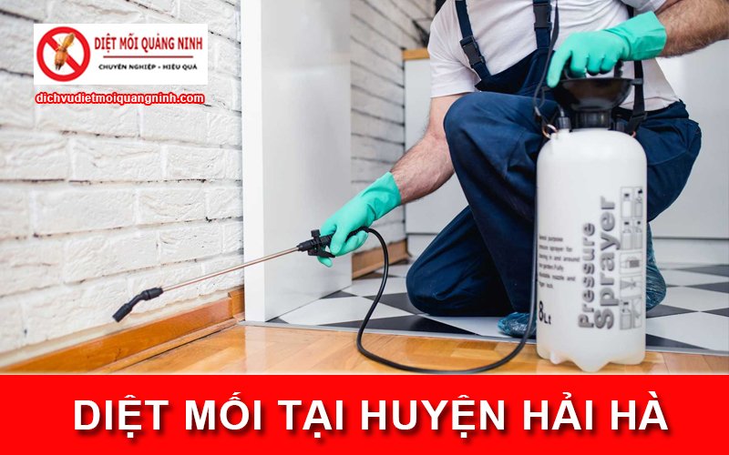 Diệt mối tại ​Huyện Hải Hà