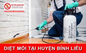 Diệt mối tại ​Huyện Bình Liêu