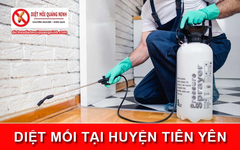 Diệt mối tại ​Huyện Tiên Yên