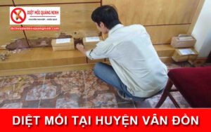 Diệt mối tại ​Huyện Vân Đồn