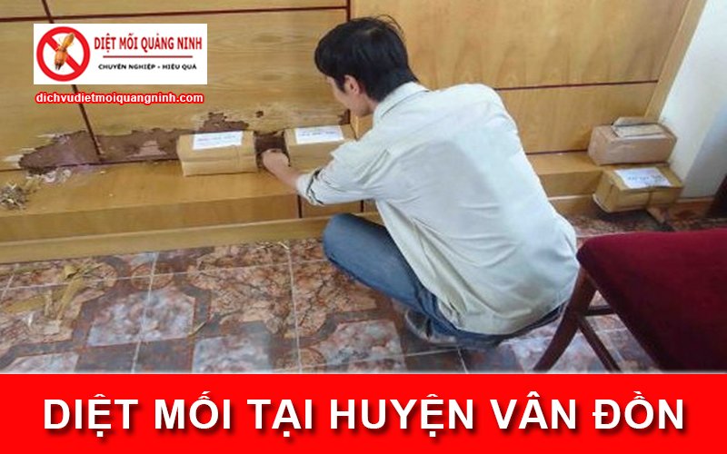 Diệt mối tại ​Huyện Vân Đồn