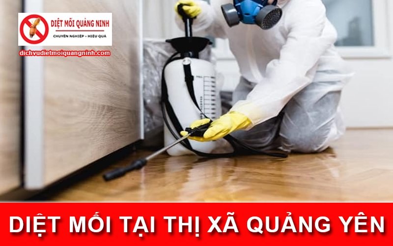 Diệt mối tại ​Thị xã Quảng Yên