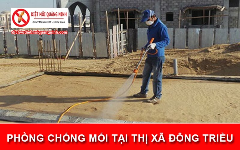 Phòng chống mối tại ​Thị xã Đông Triều