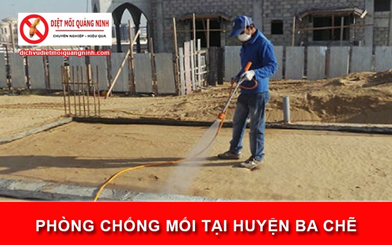 Phòng chống mối tại ​Huyện Ba Chẽ