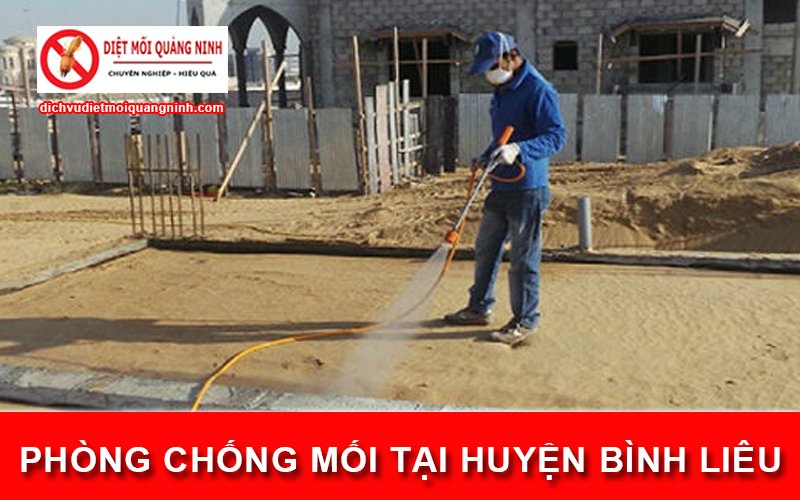 Phòng chống mối tại ​Huyện Bình Liêu