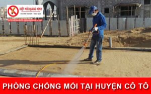 Phòng chống mối tại Huyện Cô Tô