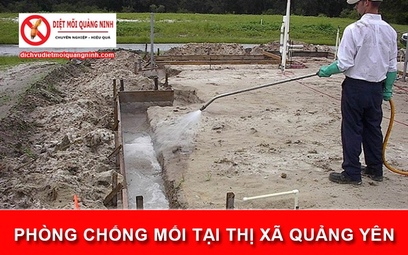 Phòng chống mối tại ​Thị xã Quảng Yên