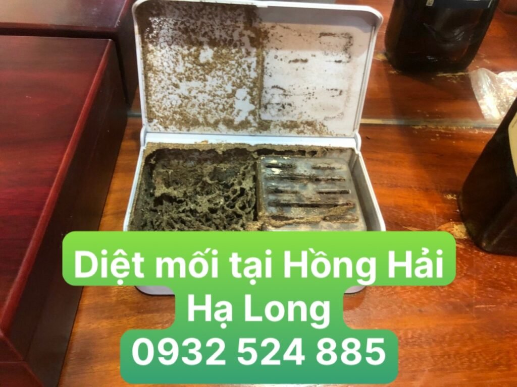 diệt mối tại hồng hải